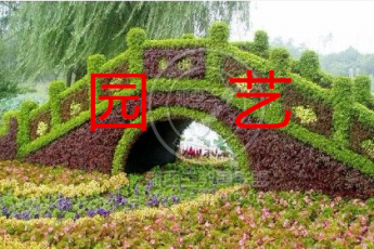 园艺