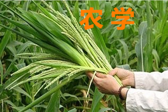 农学